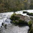 Les rapides en amont du Saut du Doubs