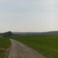 Depuis la route qui longe le bois de Blusseret
