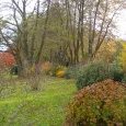 Promenade entre étang et arboretum