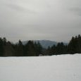 Vue sur les Vosges alsaciennes depuis la Gentiane