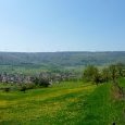 Vue sur Damblin