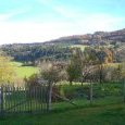 Jardin à Laval-le-Prieuré