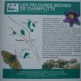Panneau pelouses sèches