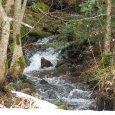 Le petit torrent provenant des étangs de la Manche