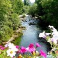 Rivière l'Ain