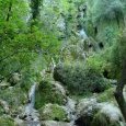 La cascade du Syratu