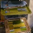 Plateaux