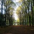 Allée qui mène au château