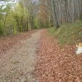 Le Chemin Stratégique