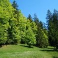 Hors concours : autour du lac Saint Point