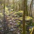 Sentier karstique
