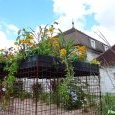 Jardin suspendu