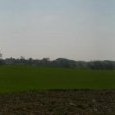 Vue depuis l'entrée du bois de Fougeray
