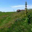 Vue sur ancienne ferme du Wissgrut (abandonnée)