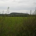 Plaine de l'Ain