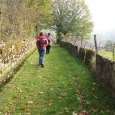 chemin bordé de pierres levées