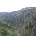 Défilé des Epais Rochers