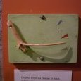 Baromètre : l'épicéa réagit à l'humidité dans (…)