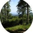 Vue sur la plaine d'Alsace