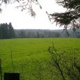 Prairie de plateau