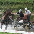 Photo hors concours : La Passion du Trait (…)
