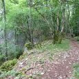 en longeant la falaise