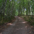 sentier du côté de la Hutte