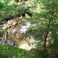 La rivière Seebach