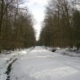 Chemin de la Vaivre depuis le sentier qui mène (…)