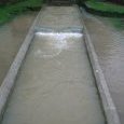 Lavoir 2