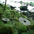 vestiges du moulin