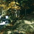 La Cuvotte
