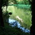 reflets verts