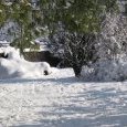 Pin graffiti sous la neige