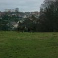 Vue sur Essert et les Résidences