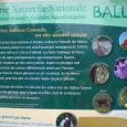 Réserve naturelle des ballons comtois