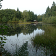 étang