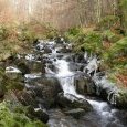 Hors concours : Le Rhôme - Auxelles-Haut (...)
