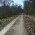 Large chemin