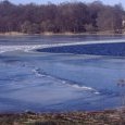 Etang des Forges 2001