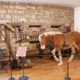 Le cheval comtois