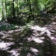 bifurcation à gauche