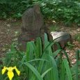 Iris et sculpture de canard