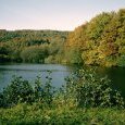 Etang du Petit Haut