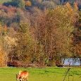 Photo hors concours - Moulin Neuf (39)