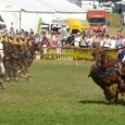 Course de chars