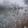 Rives de Saône sous le givre à Apremont
