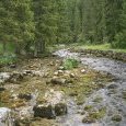 Traversée du Doubs au retour de la tourbière