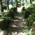 Vestiges de la scierie "Sous le Château"
