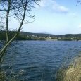 Etang des Forges